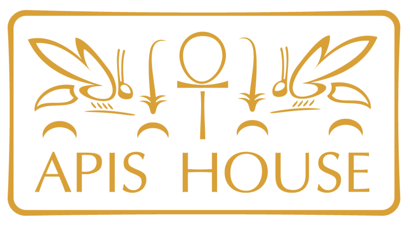 Логотип APIS